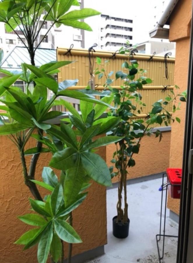新宿/新大久保駅徒歩3分120㎡一軒家貸切り Apartamento Tokio